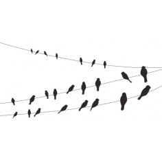 Pájaros 2