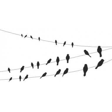 Pájaros Pájaros