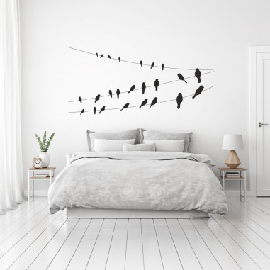 Pájaros Pájaros