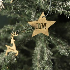 Estrella de Navidad...