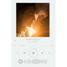 Lámina Spotify mod. Basic 2